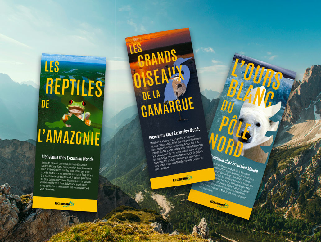 Cartons promotionnels